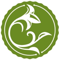 Zoneterapi